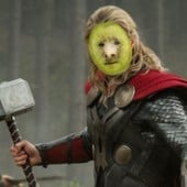 Thor Kiwi