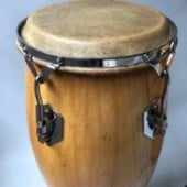 Bongos